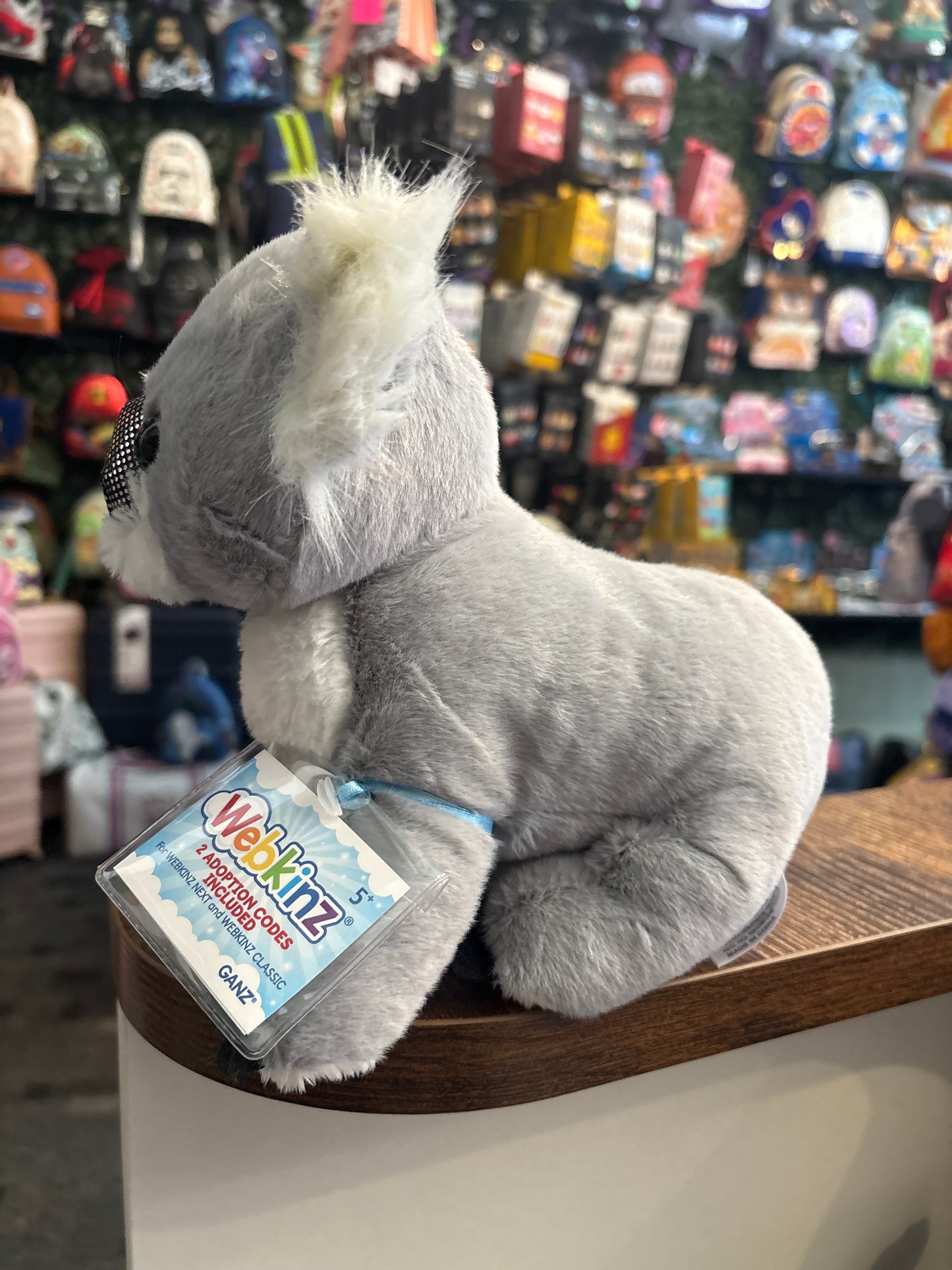 Webkinz Next Koala