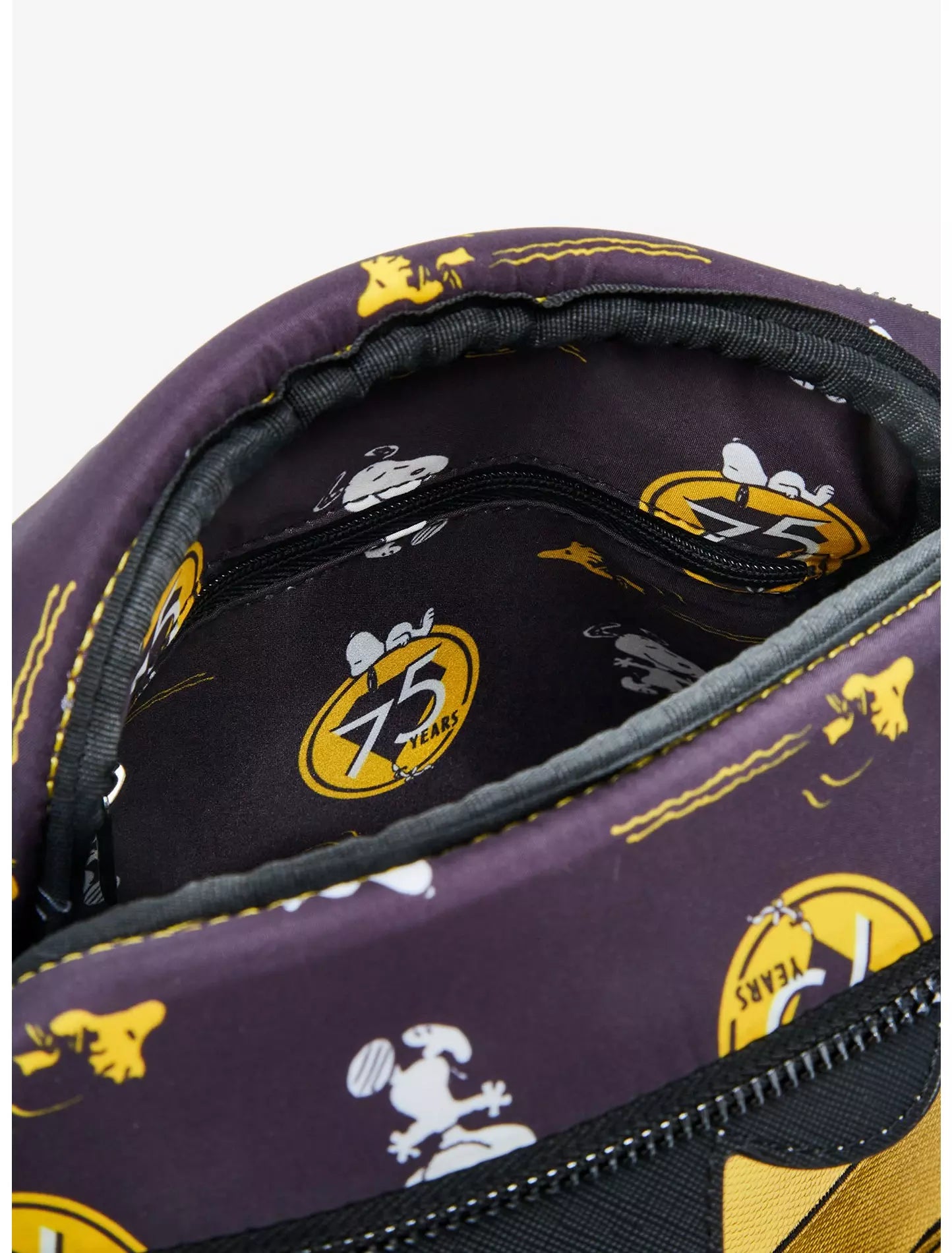 Loungefly Peanuts 75th Anniversary Snoopy on Doghouse Metallic Crossbody