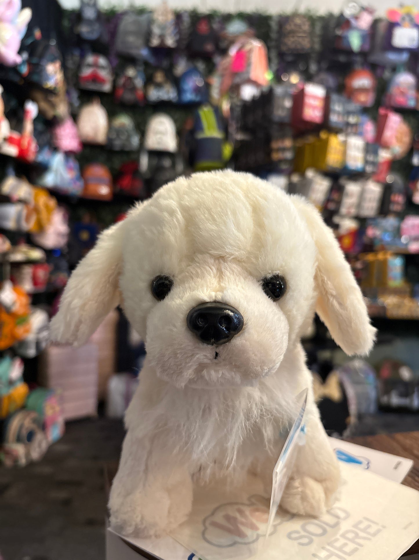 Webkinz Puppy