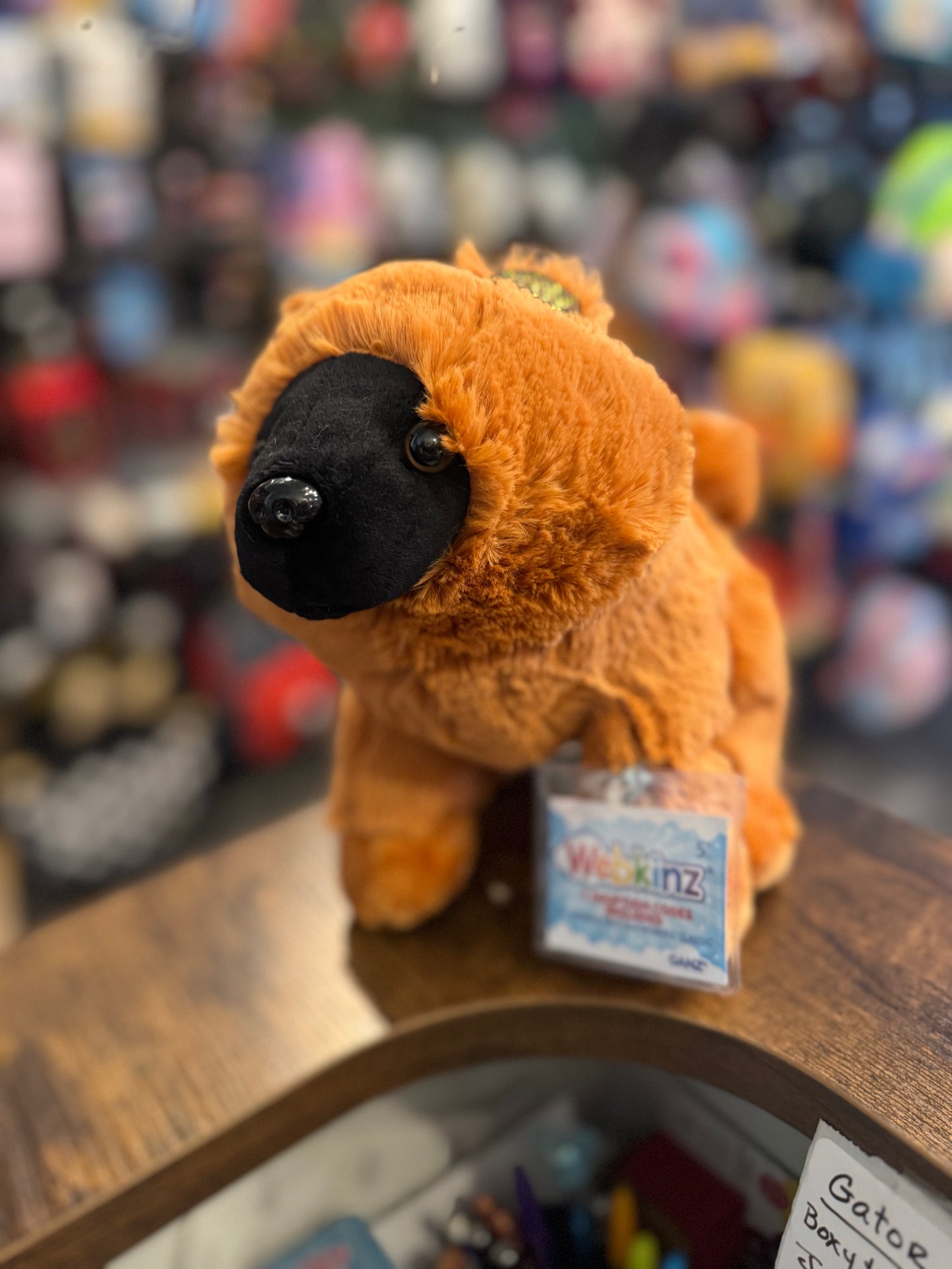 Webkinz Chow Chow
