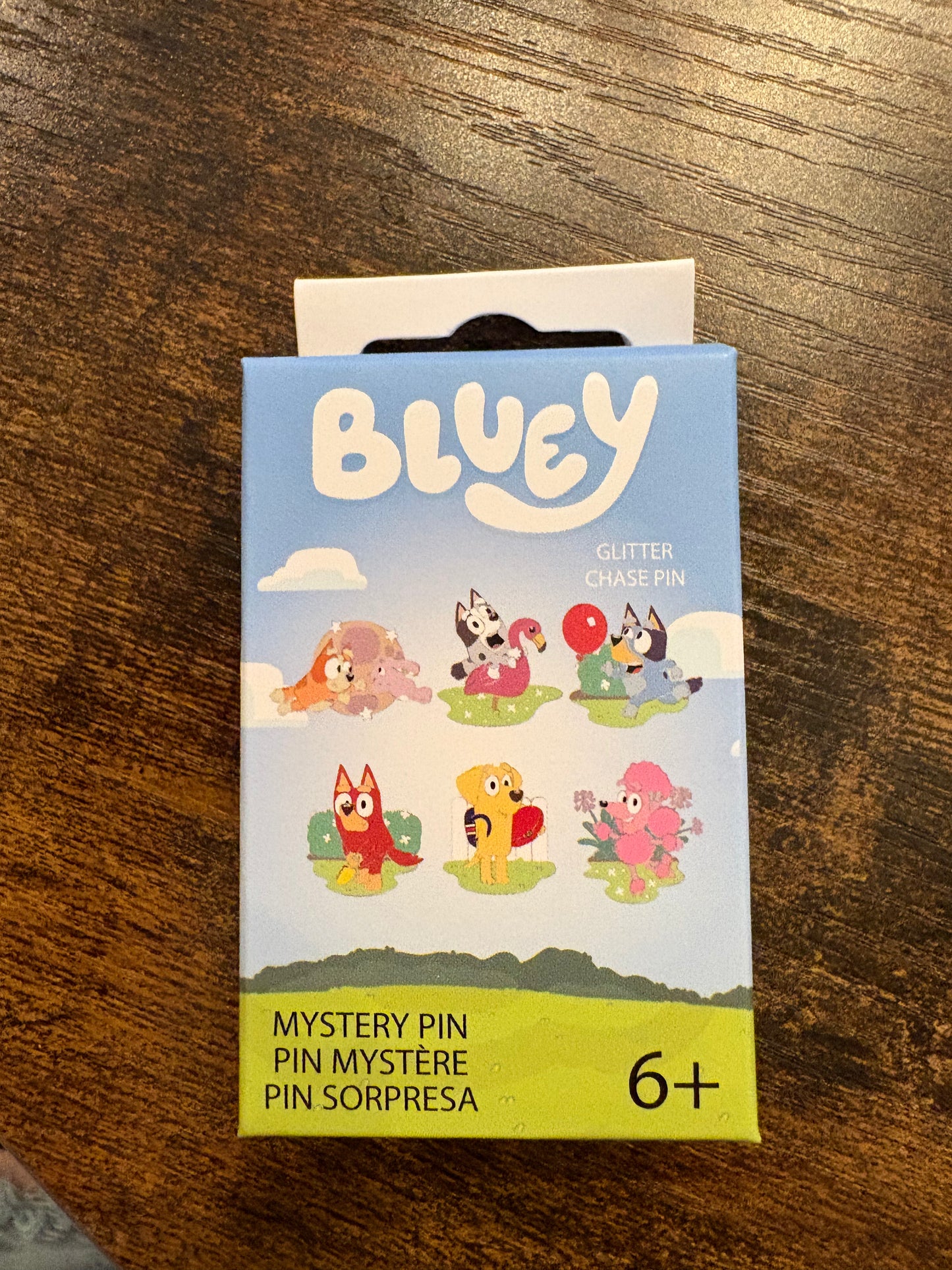 Loungefly Bluey Mystery Pin