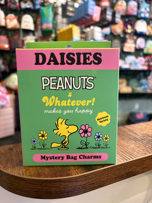 Whatever makes you happy Peanuts Daisies Bag Charmsj Mystery